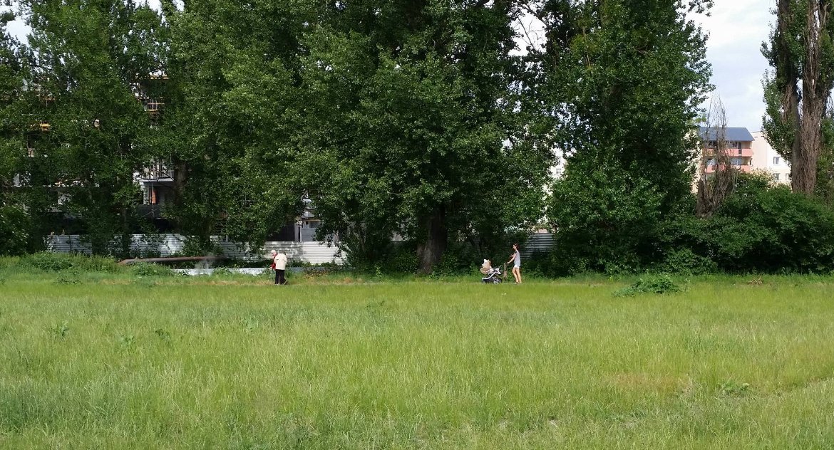 Zdjęcie terenów zielonych nad rzeką Białą od strony ulicy Włókienniczej w Białymstoku/ DDB