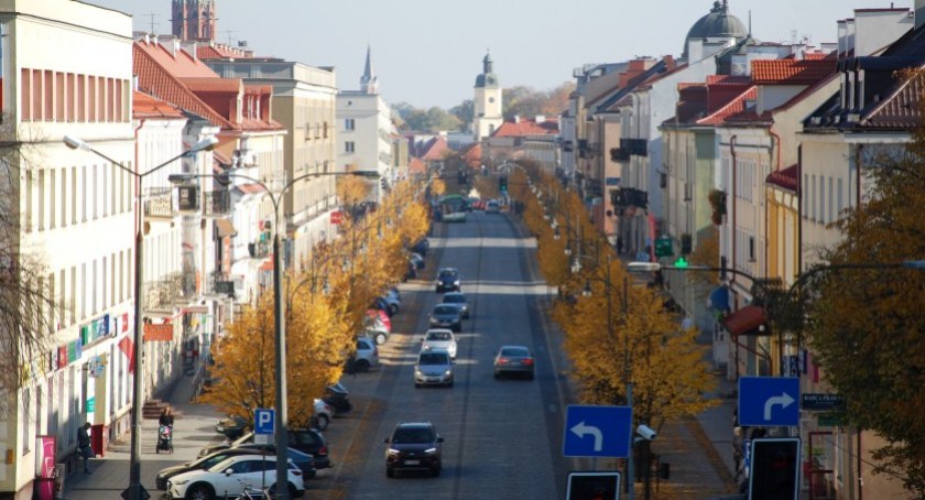 Lipy przy ulicy Lipowej w Białymstoku / Foto: UM Białystok