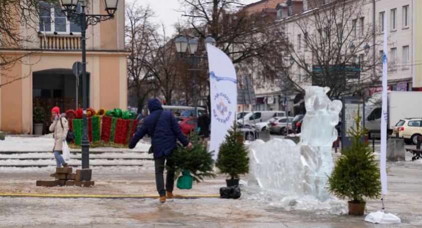 Zdjęcie mężczyzny niosącego choinkę w doniczce na Rynku Kościuszki/ bialystok.pl