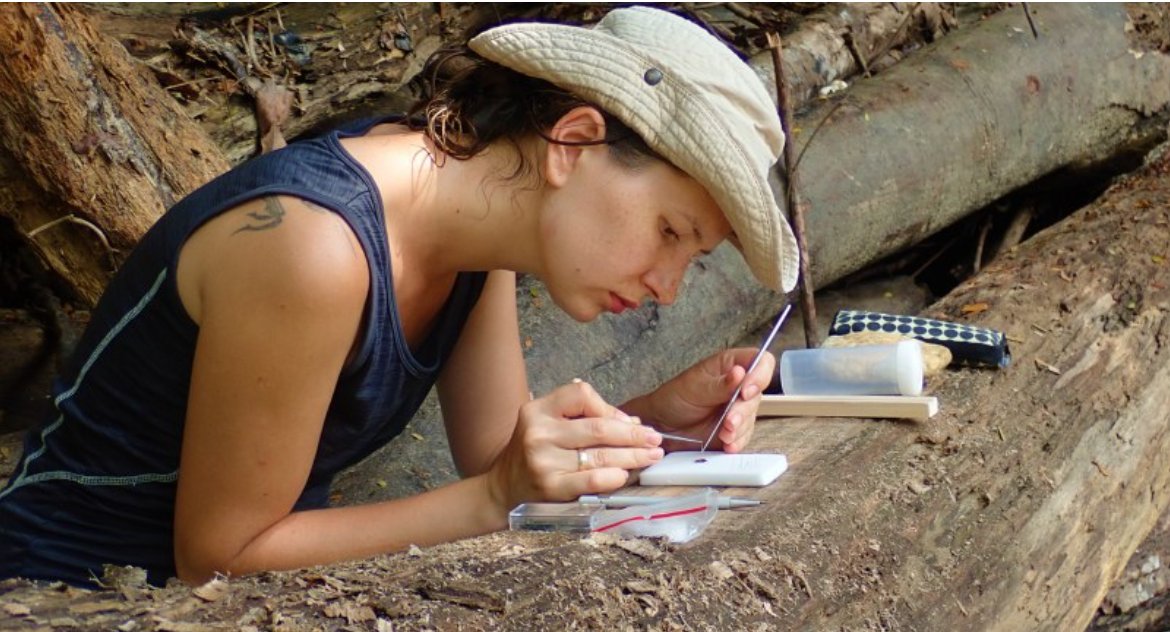 Dr Marta Skowron Volponi, entomolożka z Wydziału Biologii Uniwersytetu w Białymstoku / Foto: arch. pryw.