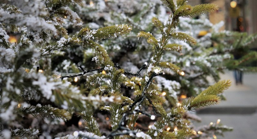 Zdjęcie choinki świątecznej/ Pixabay.com