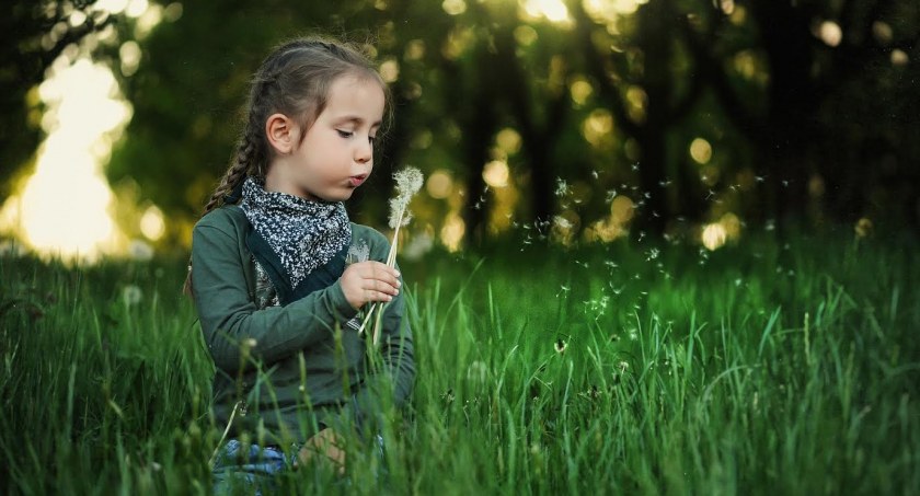 Zdjęcie ilustracyjne / Foto: pixabay.com