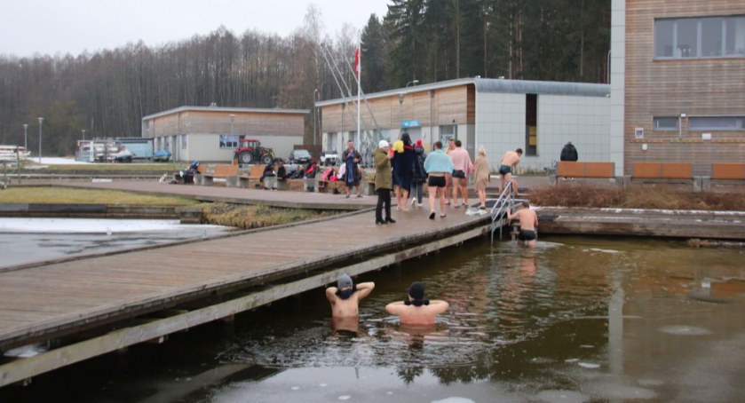 Zdjęcie morsów na Plaży Dojlidy/ BOSiR