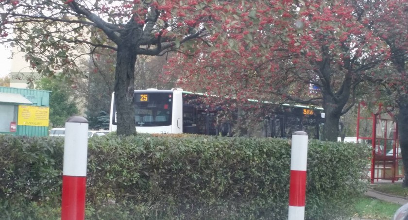 Zdjęcie autobusu BKM / Foto: DDB