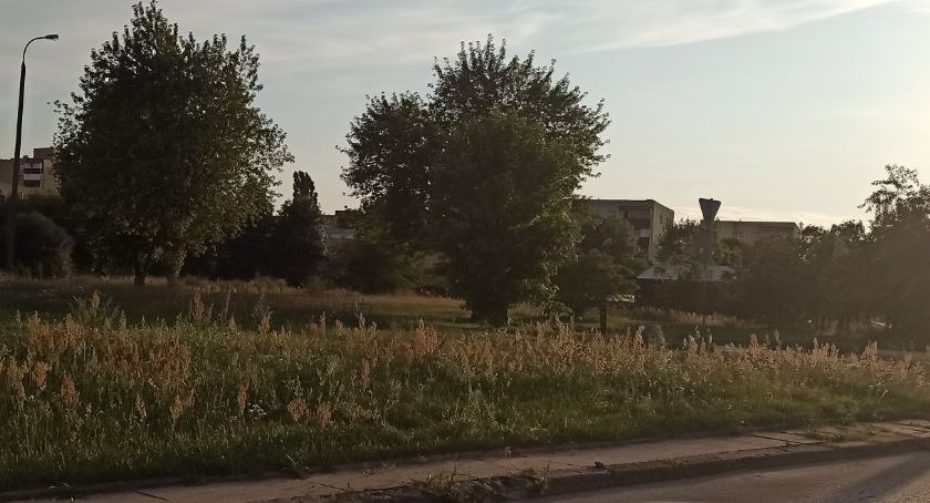 Zdjęcie gruntów przy ulicy Marczukowskiej w Białymstoku, gdzie mogłyby powstać mieszkania czynszowe/ DDB