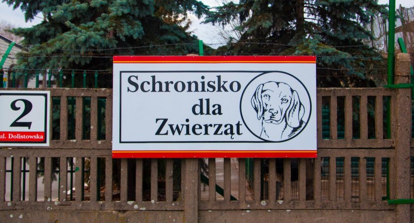 Zdjęcie wejścia do Schroniska dla Zwierząt w Białymstoku/ bialystok.pl