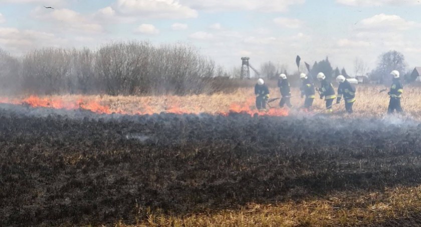 Zdjęcie strażaków gaszących pożar łąki/ OSP Suchowola
