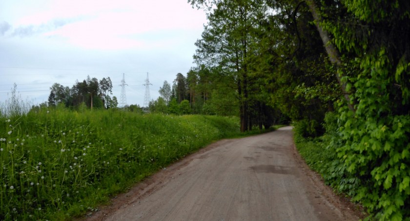 Zdjęcie ścieżki szutrowej na Podlasiu/ DDB