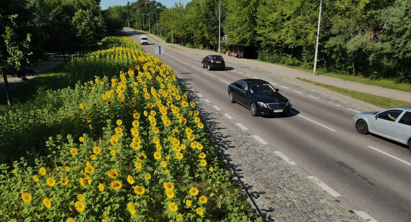 Zdjęcie ulicy Raginisa w Białymstoku/ bialystok.pl