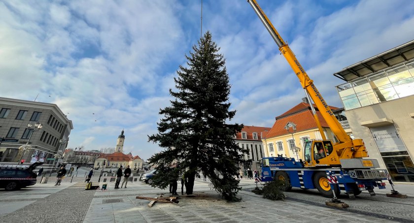 Zdjęcie montażu choinki miejskiej na Rynku Kościuszki/ Twitter.com Miasto Białystok