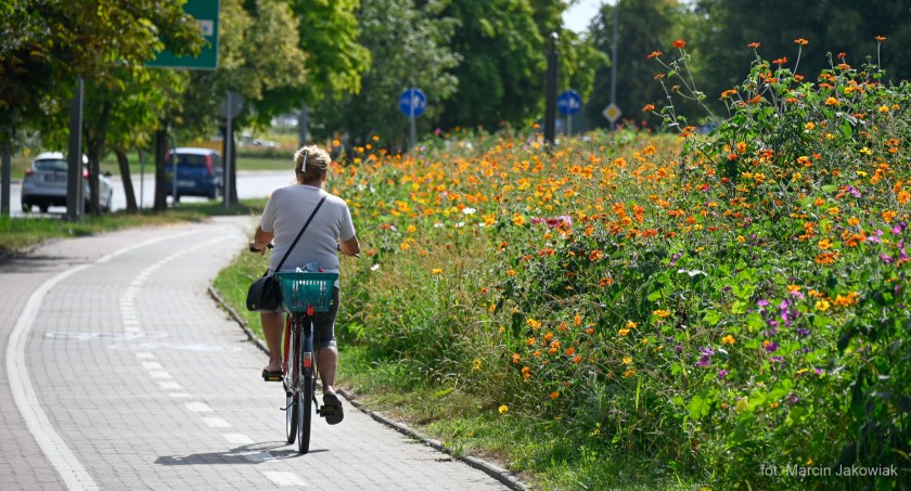 Zdjęcie kobiety jadącej na rowerze obok łąki kwietnej/ bialystok.pl