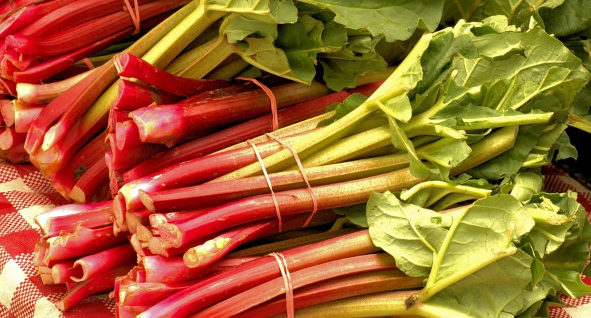 Zdjęcie rabarbaru na stole/ PIxabay.com