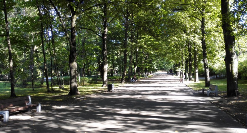 Zdjęcie alejki w Parku Planty/ DDB