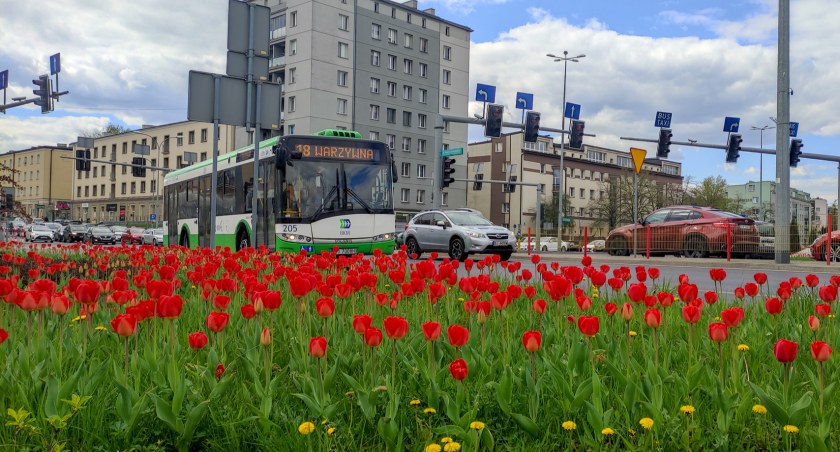 Zdjęcie autobusu miejskiego BKM/ bialystok.pl