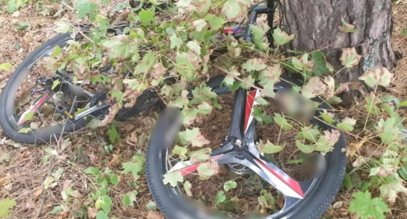 Zdjęcie roweru przykrytego gałęziami/ podlaska.policja.gov.pl