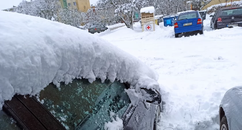 Zdjęcie zaśnieżonych samochodów na parkingu/ DDB