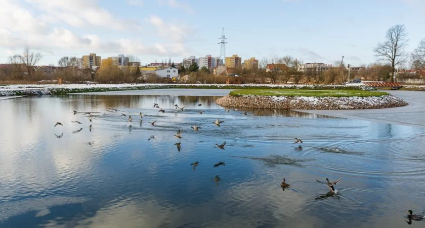 Zdjęcie Stawów Marczukowskich/ bialystok.pl