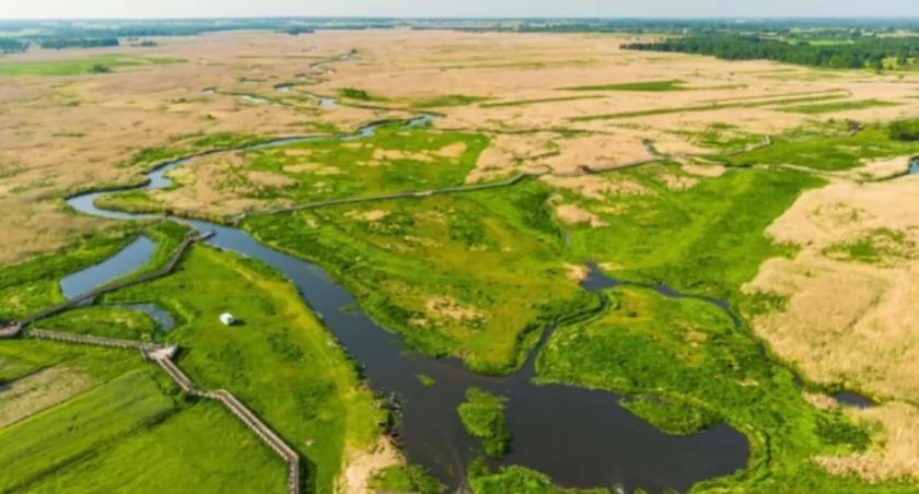 Zdjęcie Narwiańskiego Parku Narodowego/ PGE