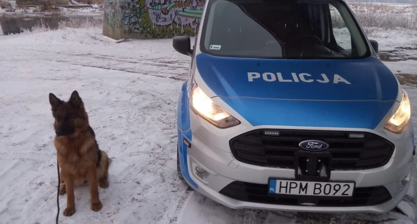 Zdjęcie psa policyjnego przy radiowozie/ podlaska.policja.gov.pl