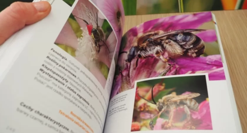 Zdjęcie albumu wydanego przez urząd miejski w Białymstoku/ bialystok.pl