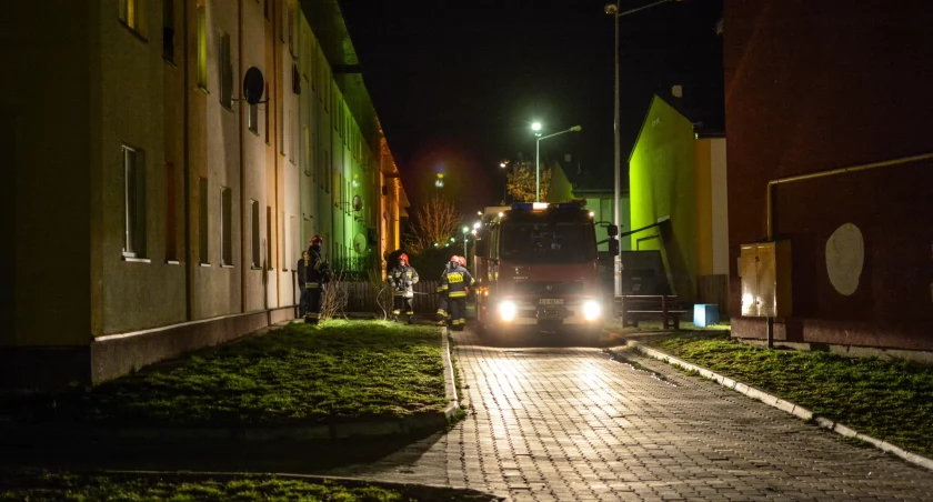 Zdjęcie strażaków podczas akcji/ DDB