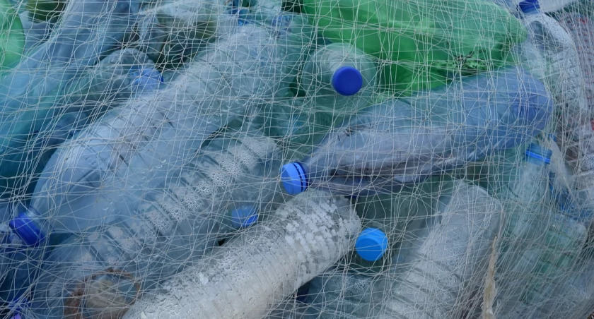 Zdjęcie plastikowych butelek w siatce/ Pixabay.com