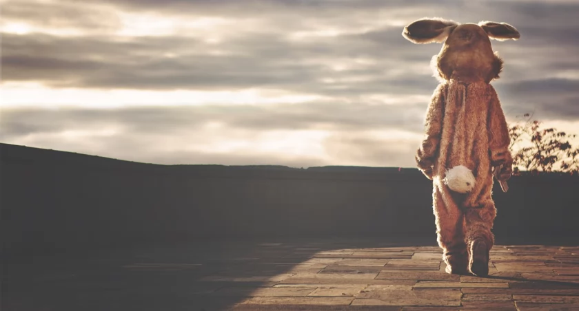 Zdjęcie człowieka w stroju zająca/ Pixabay.com