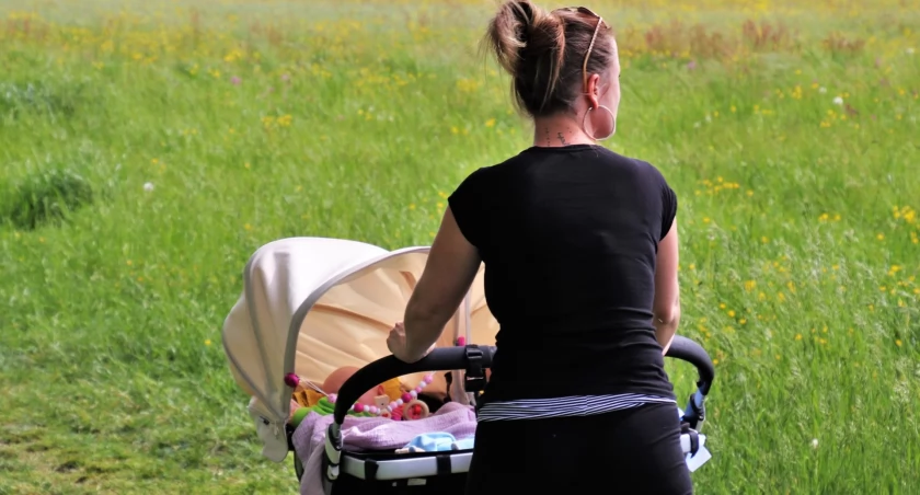 Zdjęcie ilustracyjne / Foto: pexels.com