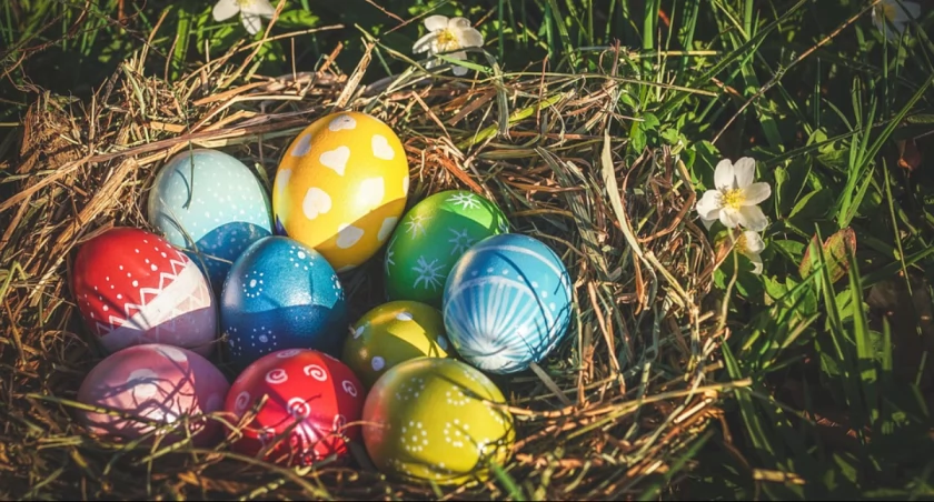 Zdjęcie pisanek leżących na trawie z kwiatkami/ PIxabay.com
