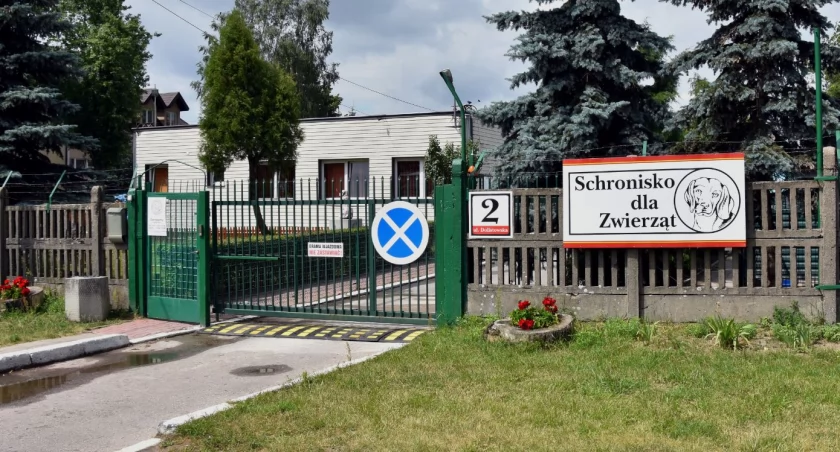 Zdjęcie wnętrza schroniska dla zwierząt/ bialystok.pl