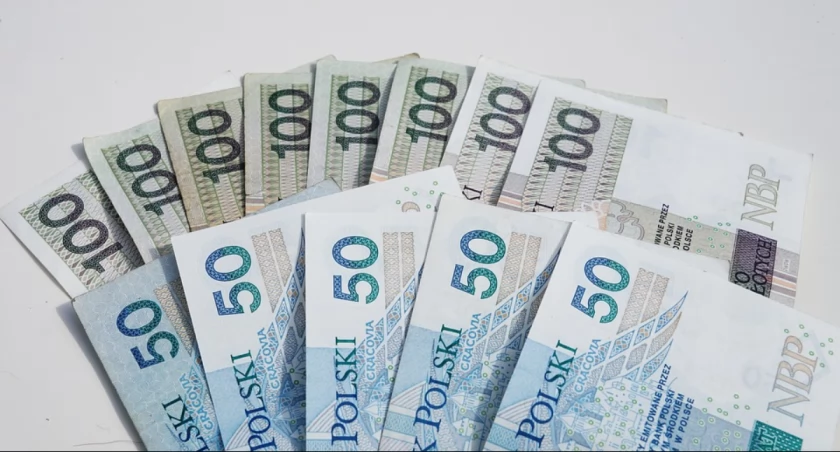 Polskie pieniądze / Foto: pixabay.com