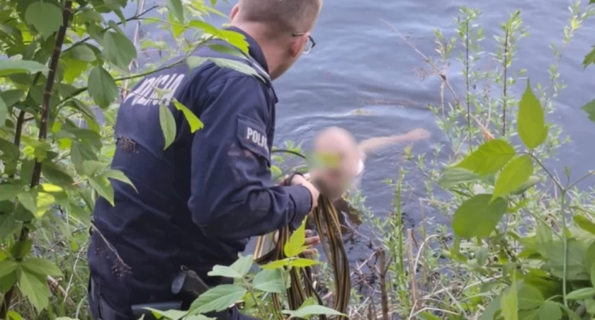 Zdjęcie policjanta wyciągającego z kanału nagiego mężczyznę/ podlaska.policja.gov.pl