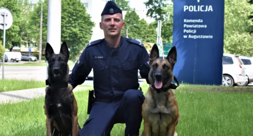 Zdjęcie policjanta z psami/ podlaska.policja.gov.pl