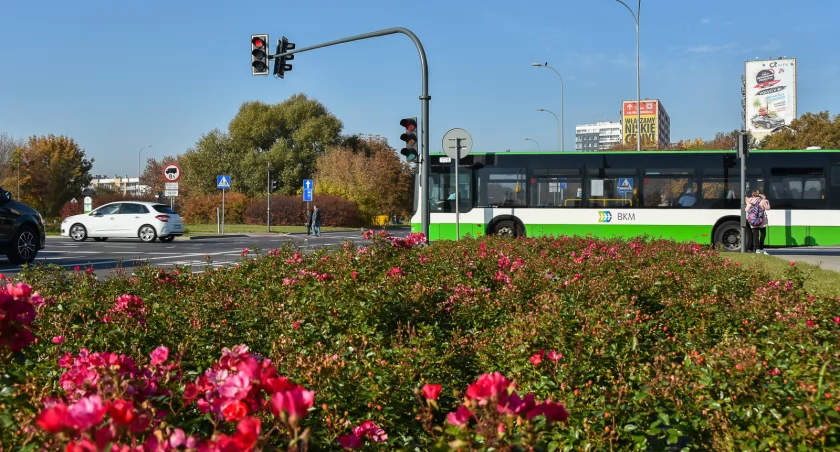 Zdjęcie autobusu miejskiego BKM/ bialystok.pl