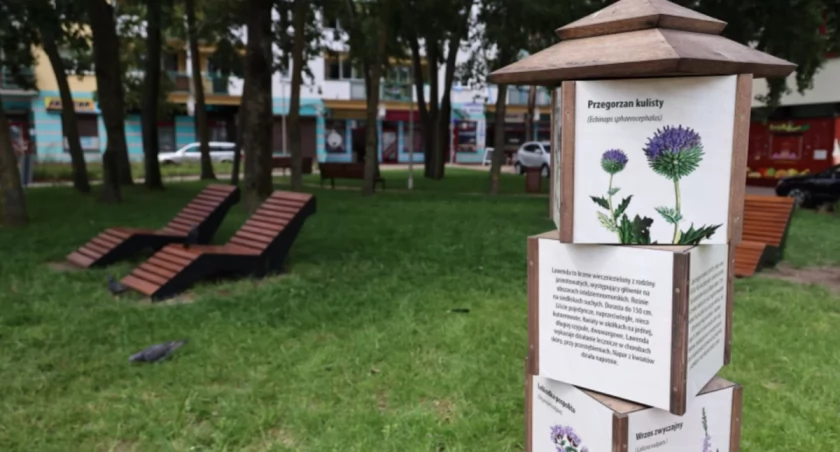Zdjęcie lawendowego parku kieszonkowego/ bialystok.pl