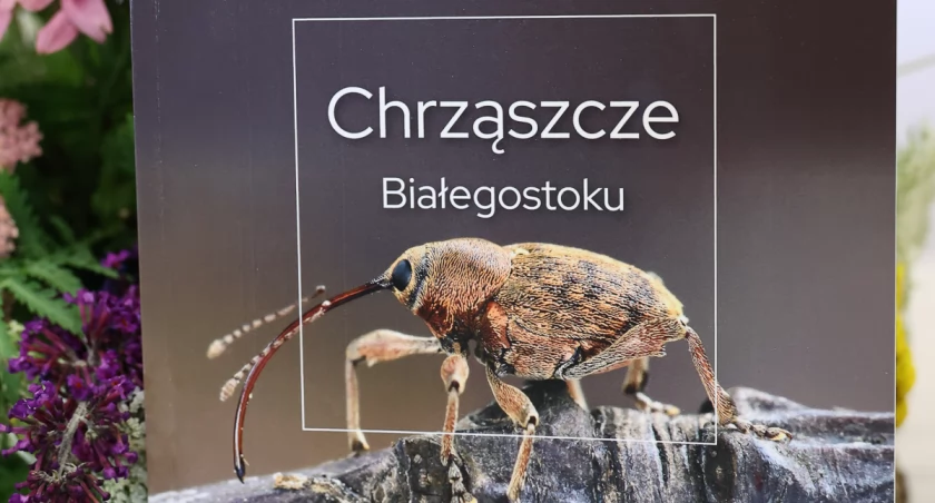 Zdjęcie okładki książki o chrząszczach/ bialystok.pl