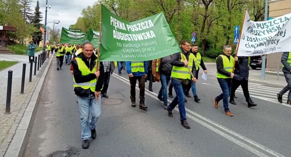 Protest przedsiębiorców branży drzewnej przeciwko moratorium w Białymstoku