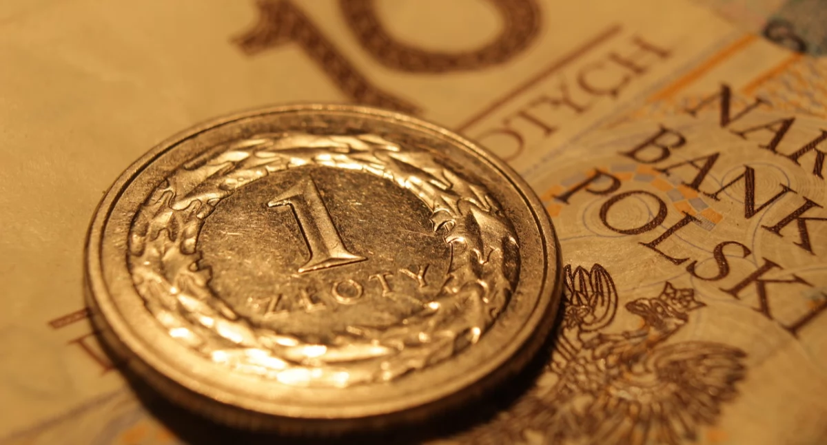 Zdjęcie banknotu i monety/ Pixabay.com
