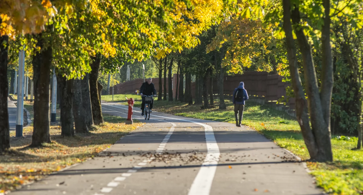Zdjęcie rowerzysty na trasie Green Velo/ DDB