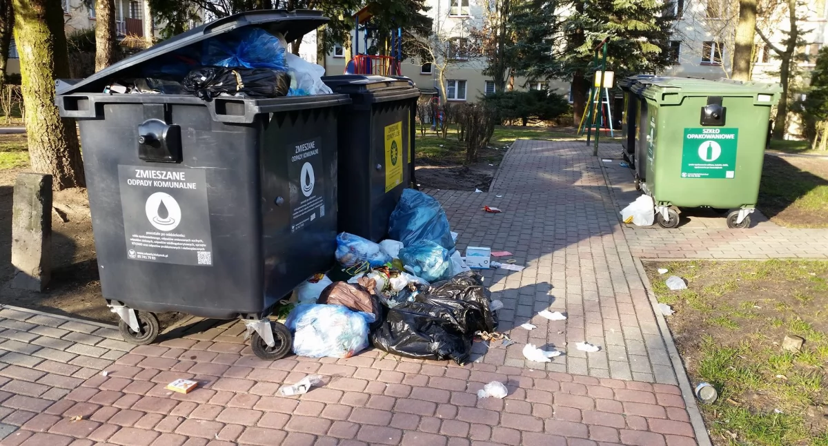 Zdjęcie przepełnionych kubłów na śmieci/ DDB