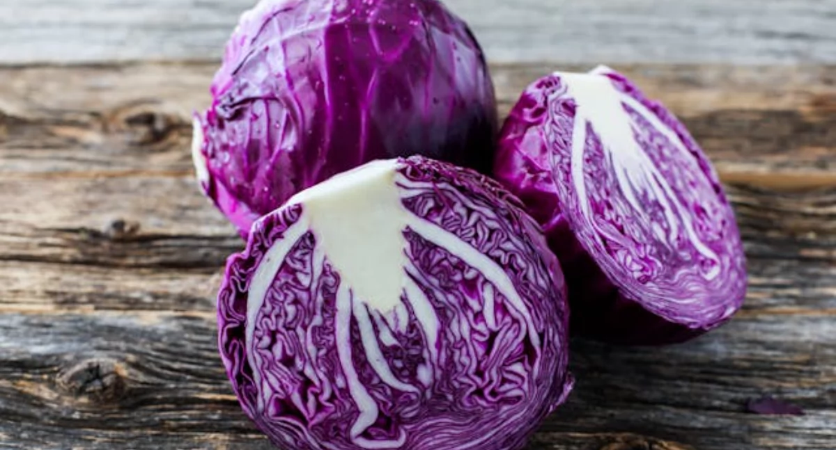 Zdjęcie główek czerwonej kapusty/ pexels-miro-vrlik
