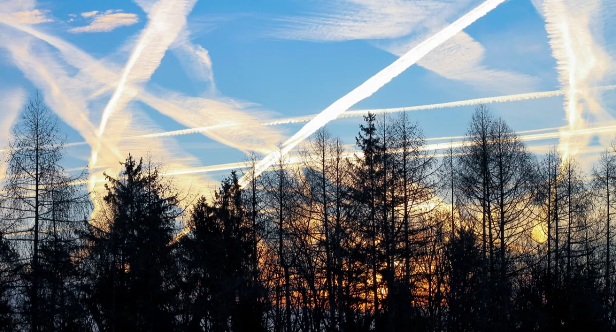 Zdjęcie smug kondensacyjnych nad lasem/ Pixabay.com