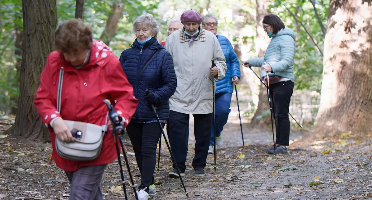 Zdjęcie kobiet w parku z kijkami do nordic walking/ Pixabay.com