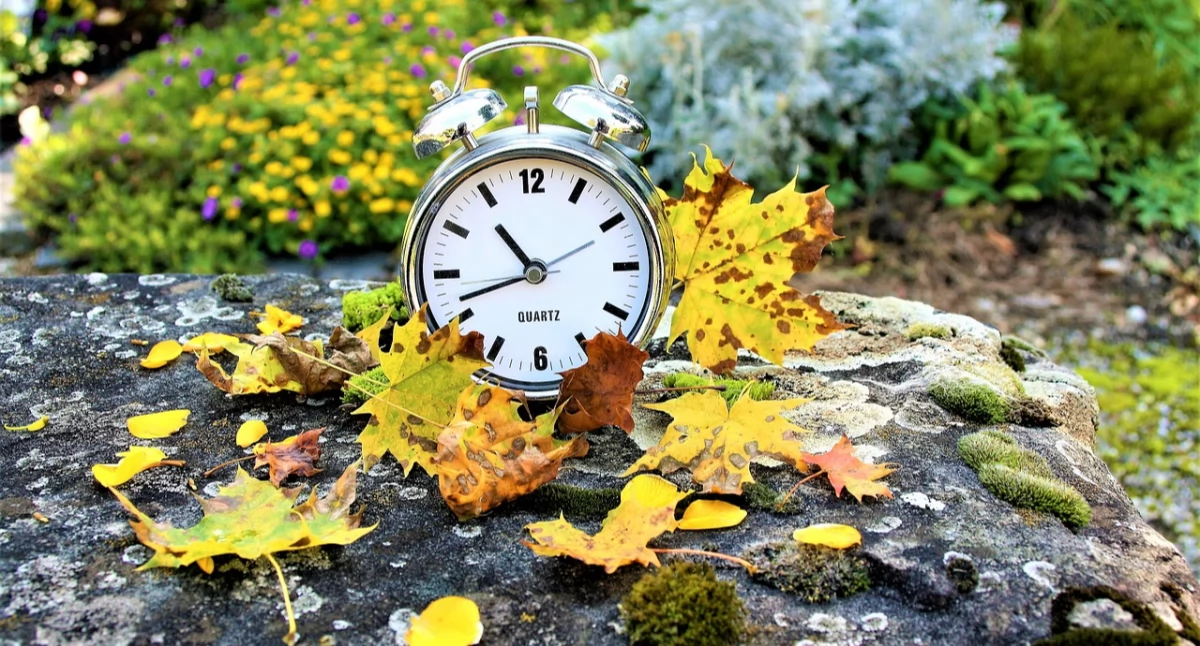 Zdjęcie budzika przy jesiennych liściach/ Pixabay.com