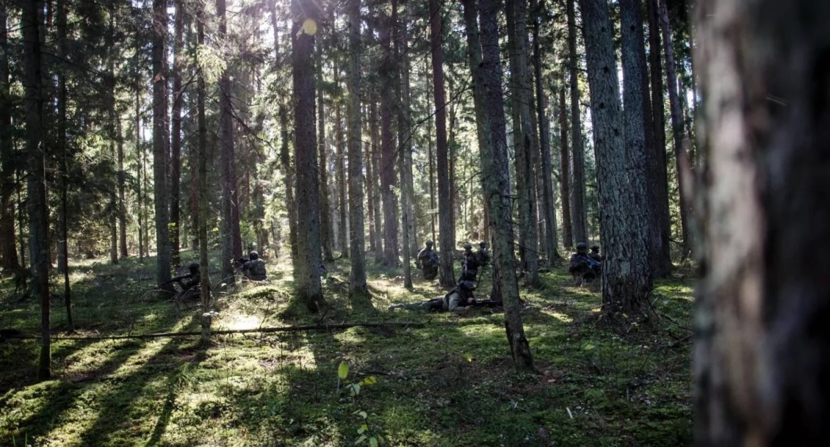 Zdjęcie podlaskich terytorialsów podczas szkolenia w lesie/ 1PBOT