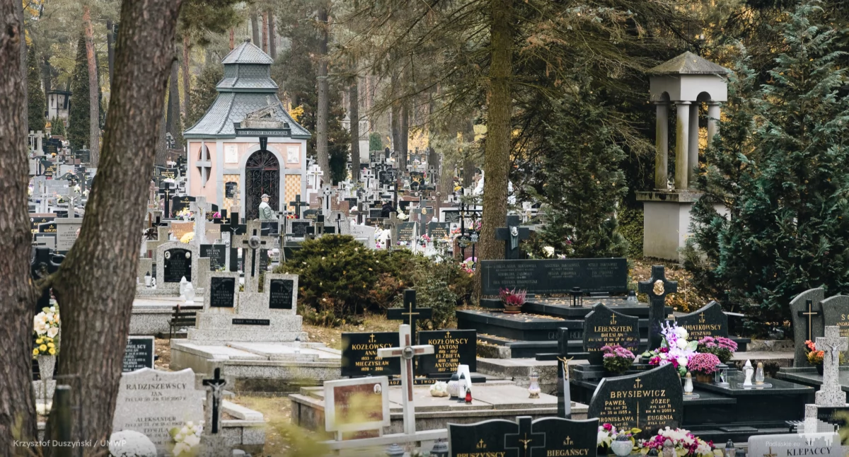 Zdjęcie nagrobków na cmentarzu w Wasilkowie/ podlaskie.eu