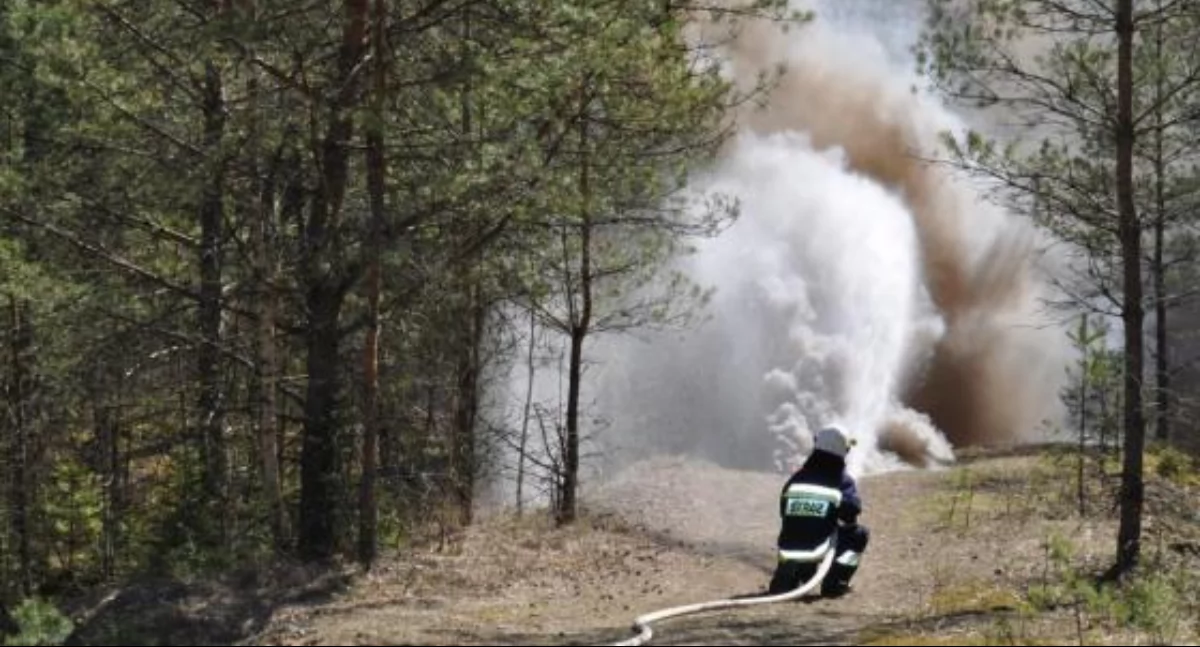 Zdjęcie strażaka gaszącego pożar w lesie/ RDLP Anna Poskrobko
