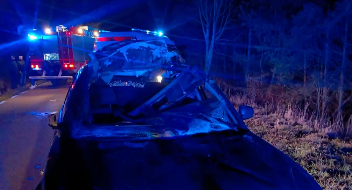 Zdjęcie auta po zderzeniu z łosiem/ podlaska.policja.gov.pl