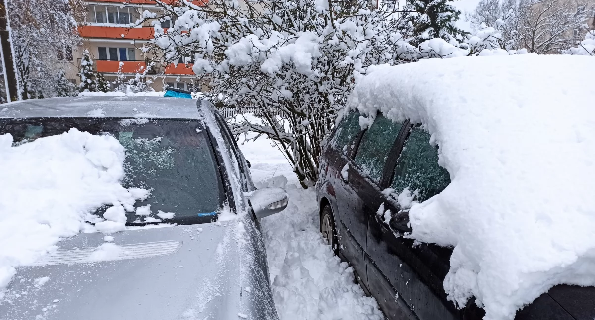 Zdjęcie zaśnieżonych samochodów i krzaka/ Fakty Białystok