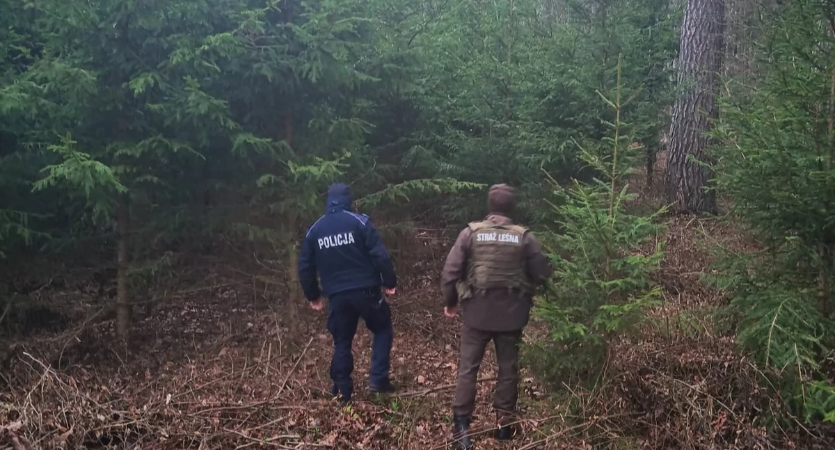 Zdjęcie strażnika leśnego i policjanta w lesie przy choinkach/ podlaska.policja.gov.pl